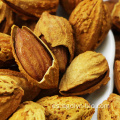 Nueces de almendra crudas de grado superior al por mayor